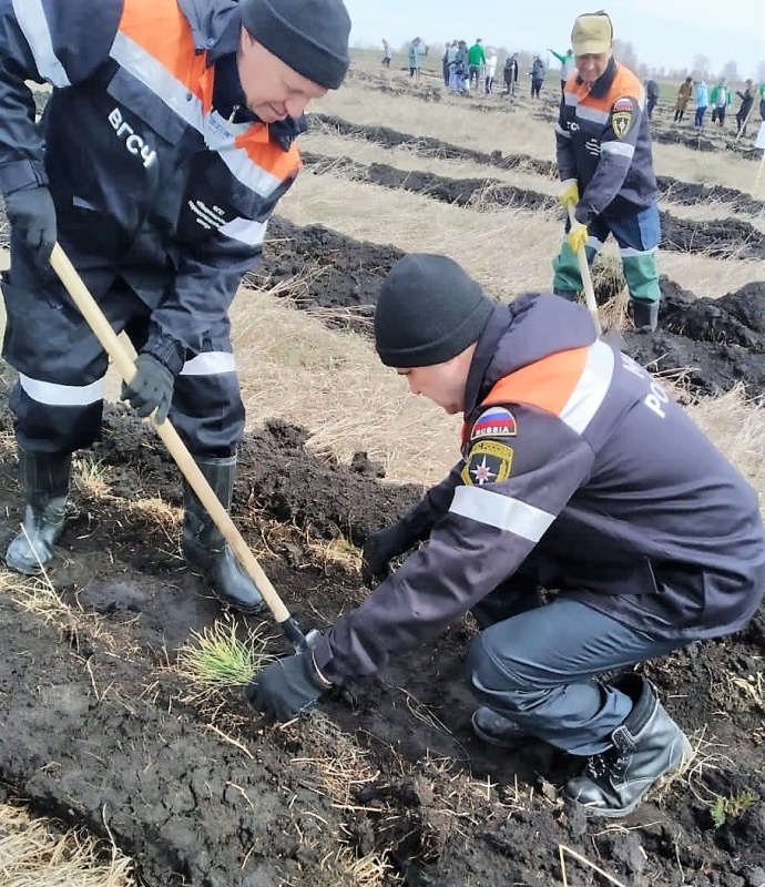 Зеленая зона Национального горноспасательного центра