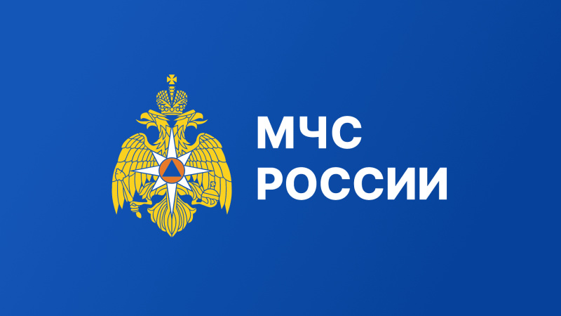 Проверьте свои знания и навыки оказания первой помощи