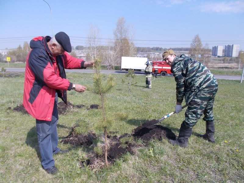 Посадка деревьев в Аллее спасателей