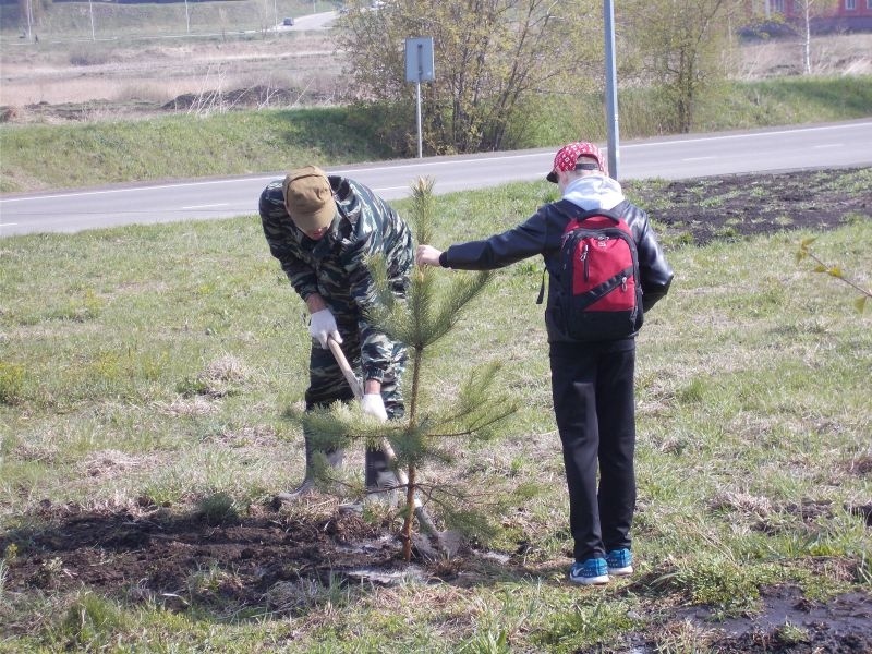 Посадка деревьев в Аллее спасателей