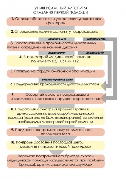 Первая помощь