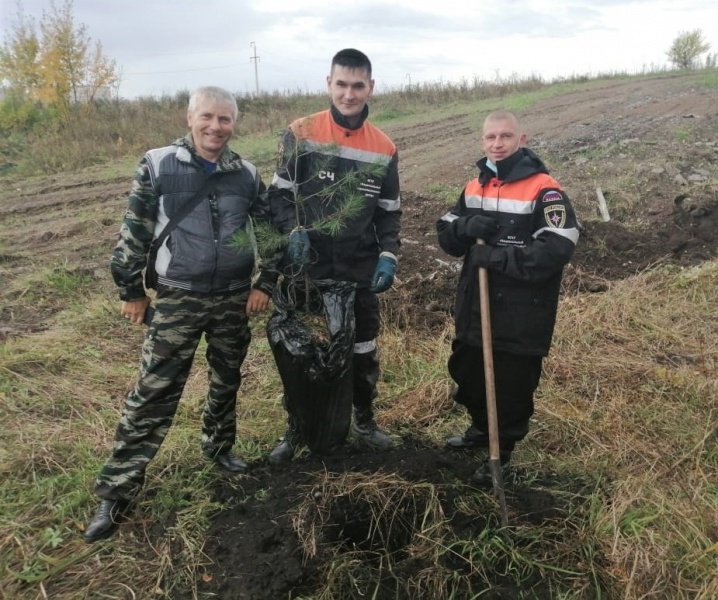 Единый день посадки деревьев